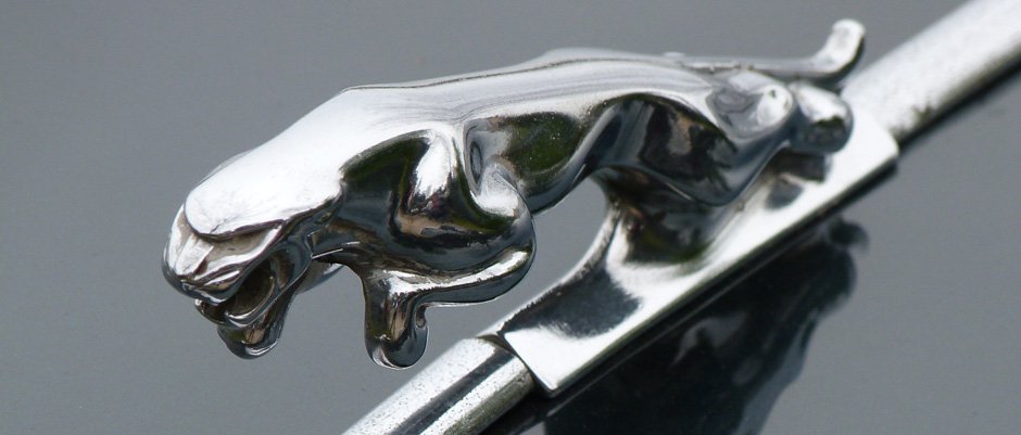Jaguar Jaguar