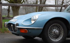 Blauer Jaguar Blauer Jaguar